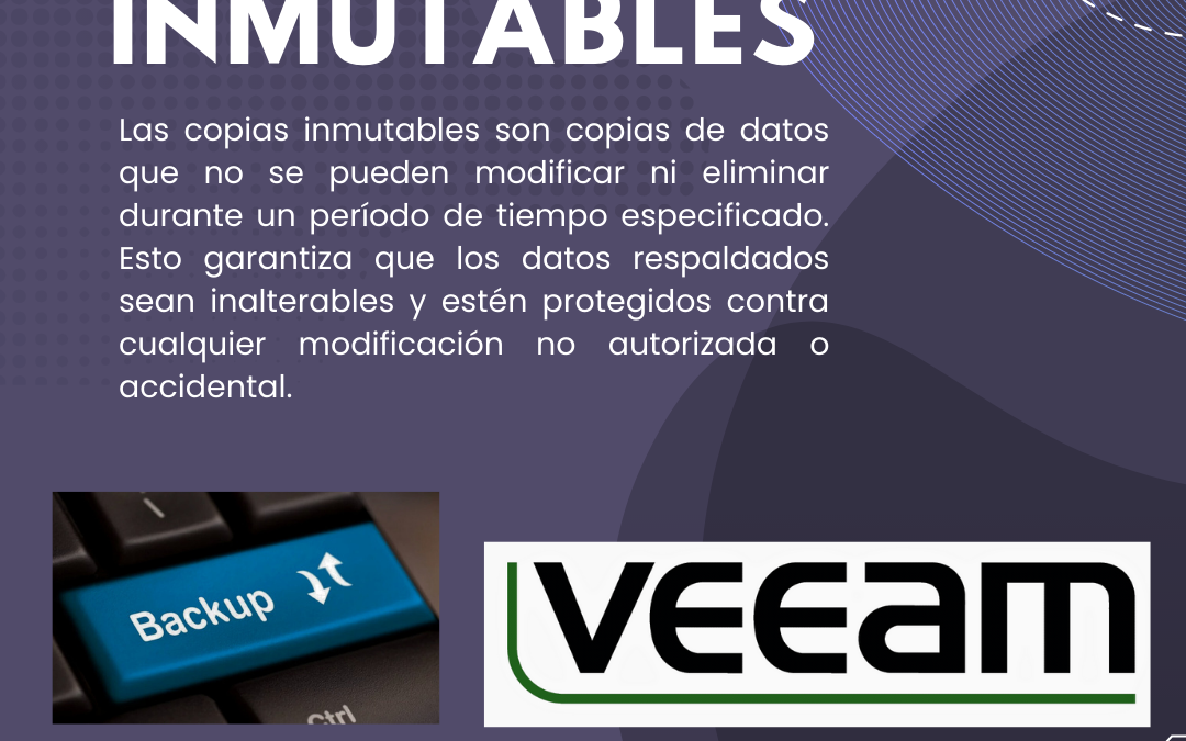 ¿Que son las copias Inmutables?